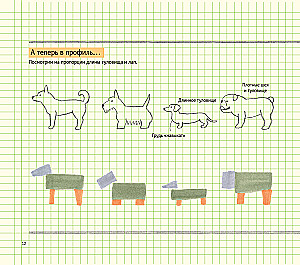 Zeichenschule für Anfänger. Niedliche Tiere