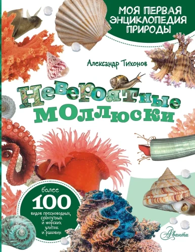 Incredible Mollusks