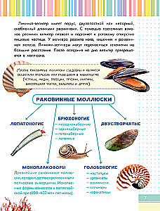 Uskumatud molluskid