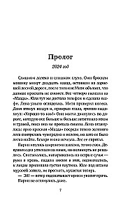 The Last Ferry of Zabolotye