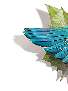 Reālās maģijas. Kā zinātne izzina Visumu