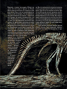 Reālās maģijas. Kā zinātne izzina Visumu