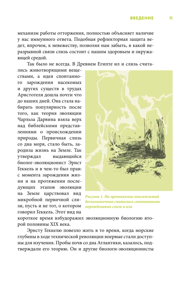 Gleivių knyga. Slidus pėdsakas Žemės istorijoje