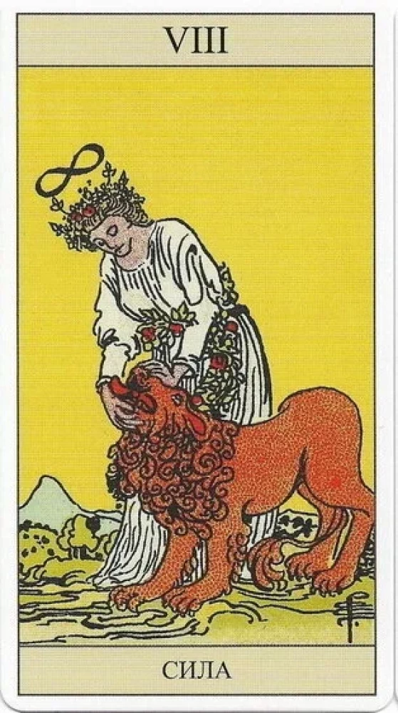 Tarot Vaita (78 kārtis + grāmata)