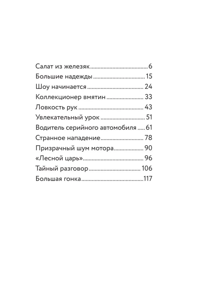 Drei junge Detektive. Turbogalopp