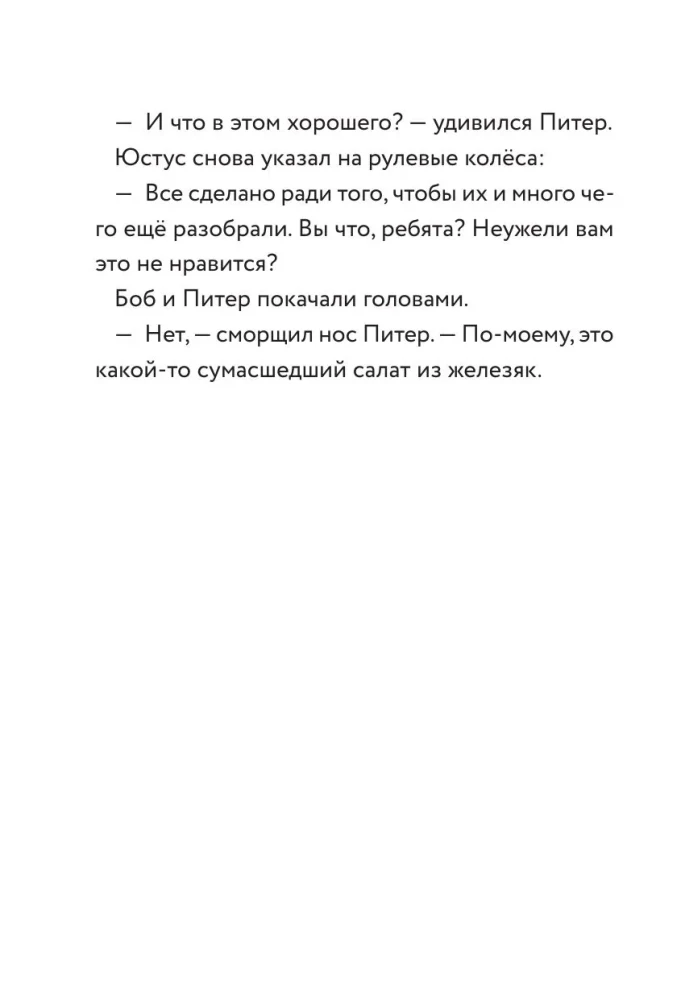 Drei junge Detektive. Turbogalopp