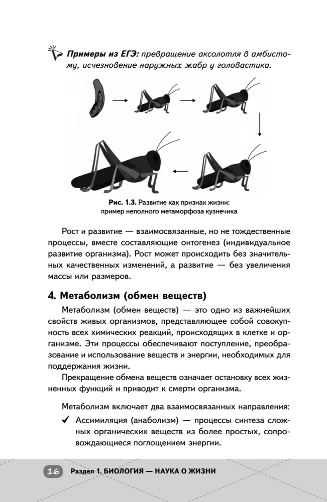 EGE. Bioloģija. Intensīvs kurss