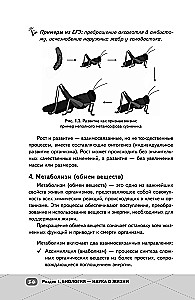 EGE. Bioloģija. Intensīvs kurss