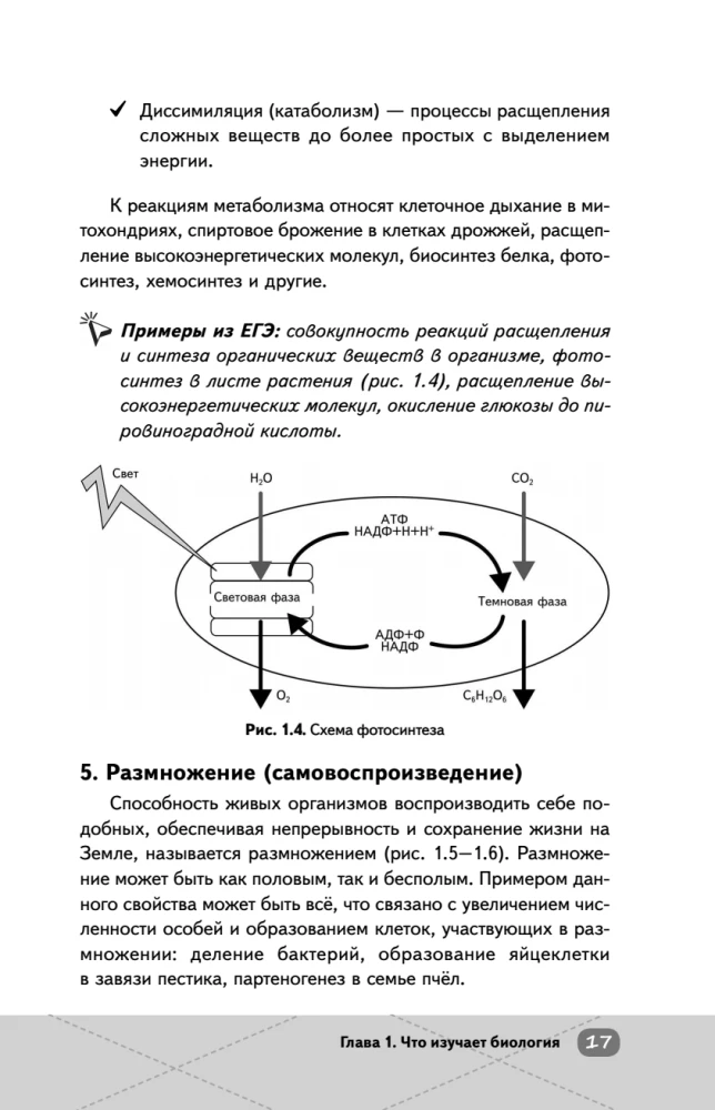 EGE. Bioloģija. Intensīvs kurss
