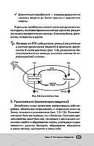 EGE. Bioloģija. Intensīvs kurss