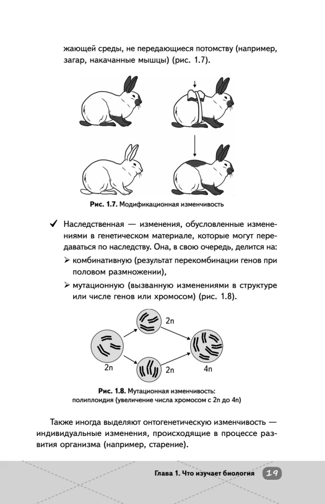 EGE. Bioloģija. Intensīvs kurss