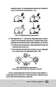 EGE. Bioloģija. Intensīvs kurss