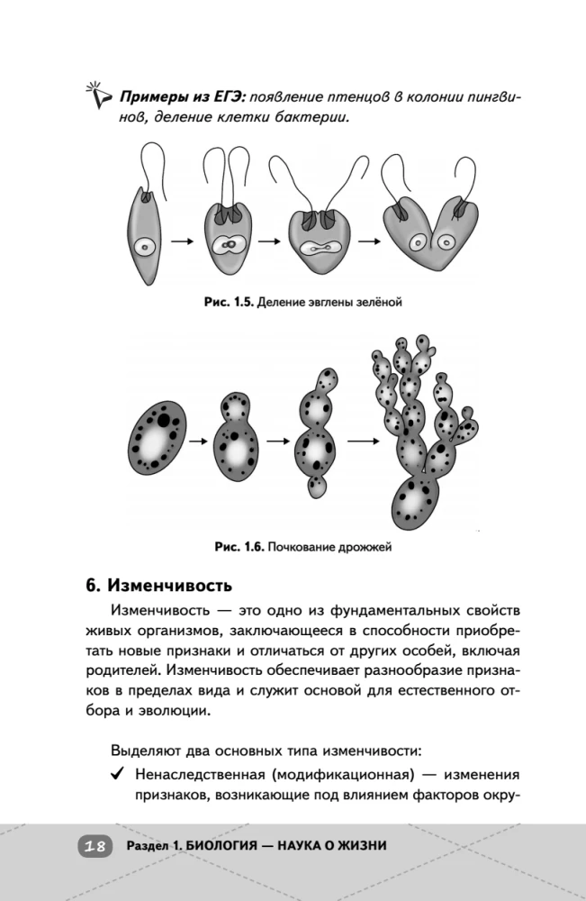 EGE. Bioloģija. Intensīvs kurss