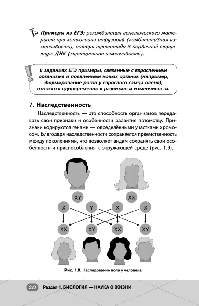 EGE. Bioloģija. Intensīvs kurss