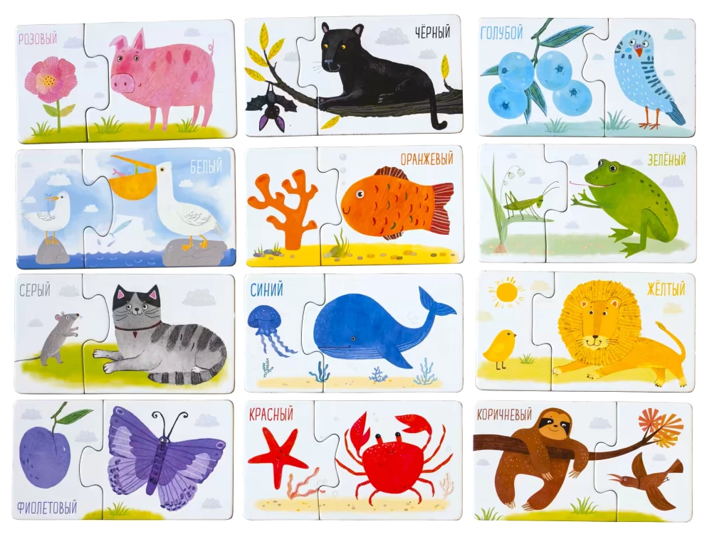 IQ gry. Parówki. Co jest jakiego koloru