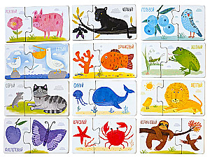 IQ gry. Parówki. Co jest jakiego koloru