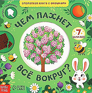 Cardboard Book with Windows - What Does Everything Around Smell Like?