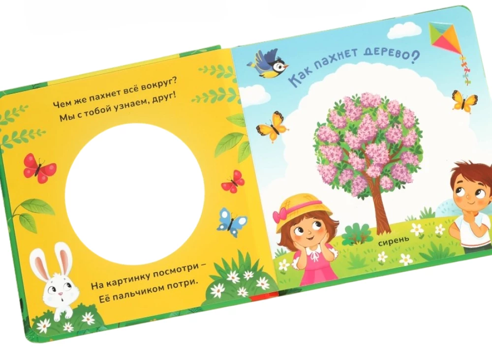 Cardboard Book with Windows - What Does Everything Around Smell Like?