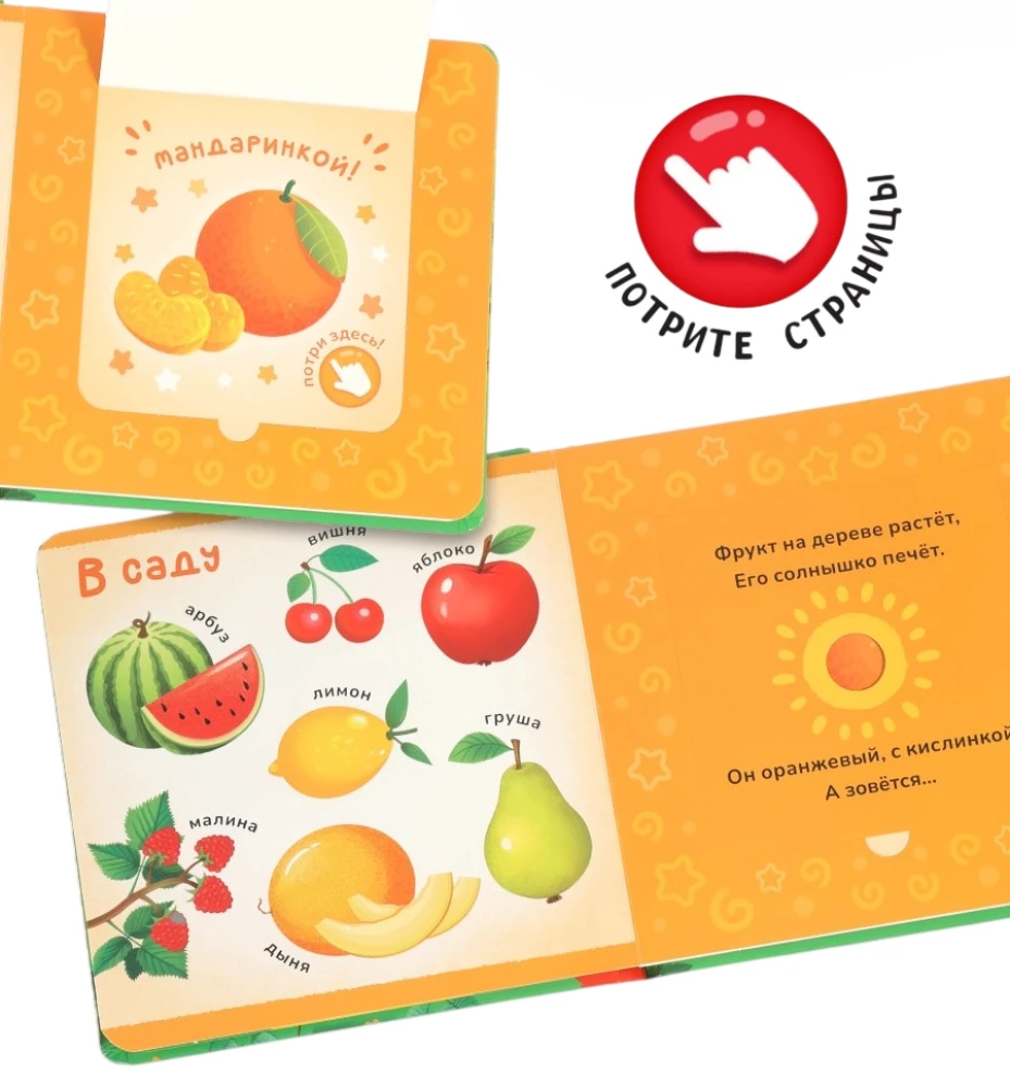 Cardboard Book with Windows - What Does Everything Around Smell Like?