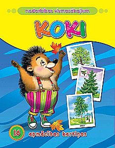 Koki. 16 Lernkarten