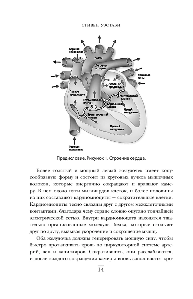 Surgeons, Saints, and Psychopaths. A Thrilling Story of Medicine