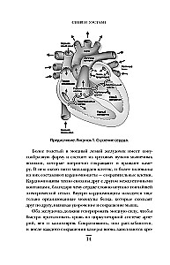Surgeons, Saints, and Psychopaths. A Thrilling Story of Medicine