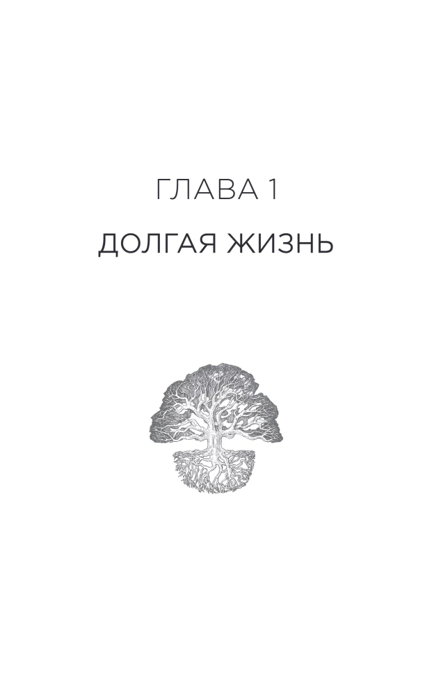 Племя деревьев. О чем говорят корни и кроны
