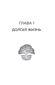 Племя деревьев. О чем говорят корни и кроны