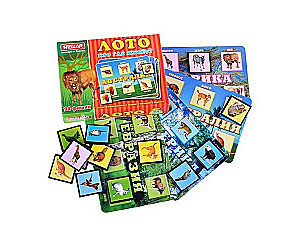 Настольная игра Лото. Кто где живет? (24 фишки)