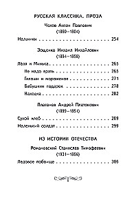 Lese zu Hause und in der Schule. Literatur lesen. 4. Klasse