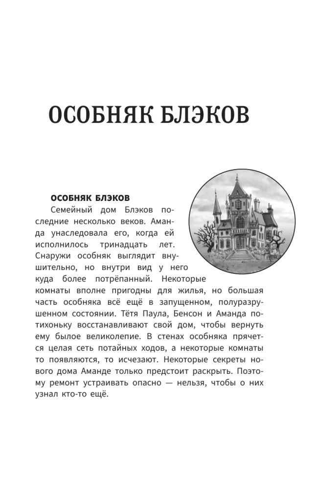 Amanda Black. The Lost Amulet