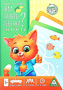 Ar ko nodarbināt bērnu. Labirinti