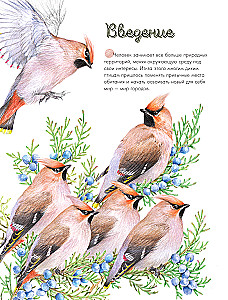 Putni pilsētā. 25 stāsti faktos un zīmējumos