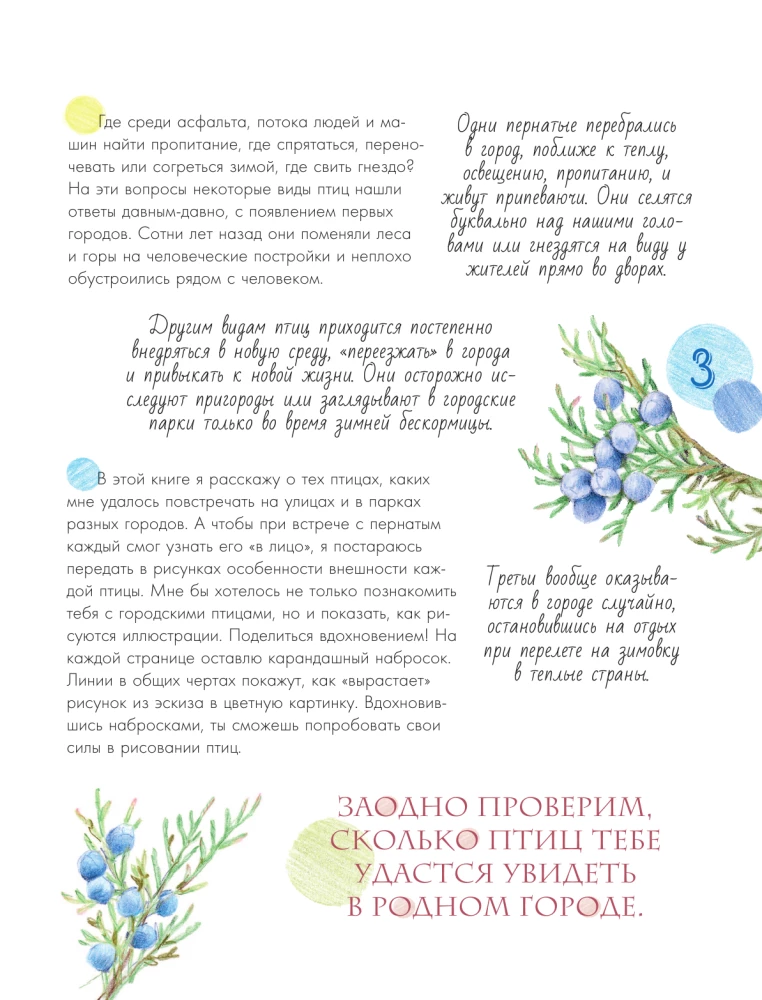 Putni pilsētā. 25 stāsti faktos un zīmējumos