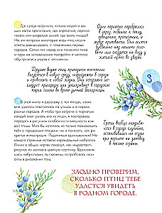 Putni pilsētā. 25 stāsti faktos un zīmējumos