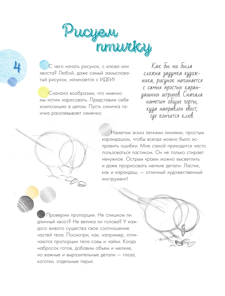 Putni pilsētā. 25 stāsti faktos un zīmējumos