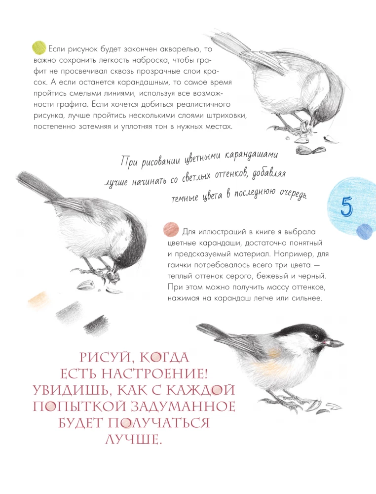 Putni pilsētā. 25 stāsti faktos un zīmējumos