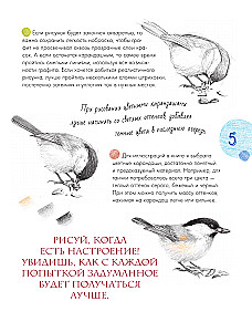 Putni pilsētā. 25 stāsti faktos un zīmējumos