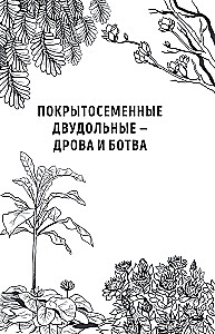 Botanik des Anthropologen. Wie Pflanzen den Menschen geschaffen haben. Blüten-Beeren