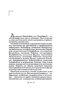 Botanik des Anthropologen. Wie Pflanzen den Menschen geschaffen haben. Blüten-Beeren