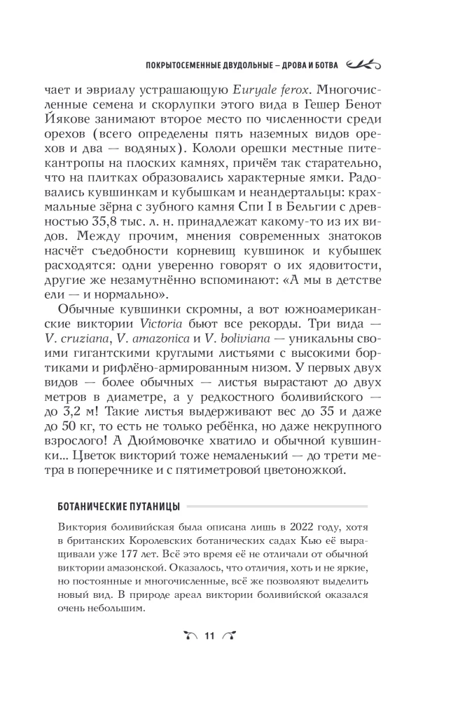 Botanik des Anthropologen. Wie Pflanzen den Menschen geschaffen haben. Blüten-Beeren