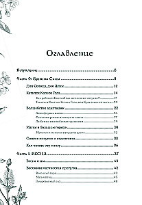 Das Rad des Jahres in der Stadt: von alten Geheimnissen saisonaler Magie bis zu modernen Praktiken