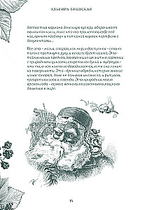 Das Rad des Jahres in der Stadt: von alten Geheimnissen saisonaler Magie bis zu modernen Praktiken