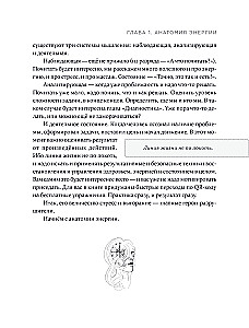 The Body Wants to Live: Practices That Help to Hear the Signals of the Body and Restore Contact with Oneself