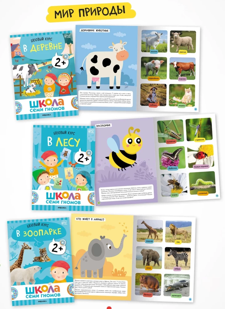 Szkoła Siedmiu Krasnoludków. 12 książek rozwojowych. Roczny podstawowy kurs. Zestaw 2+