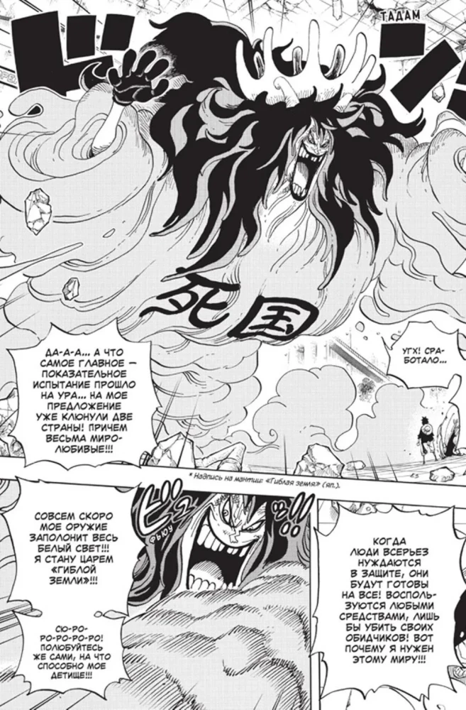 One Piece. Большой куш. Книга 24. Те, кого забыла Дрессроза