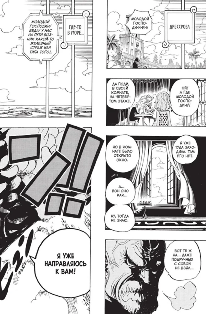 One Piece. Большой куш. Книга 24. Те, кого забыла Дрессроза