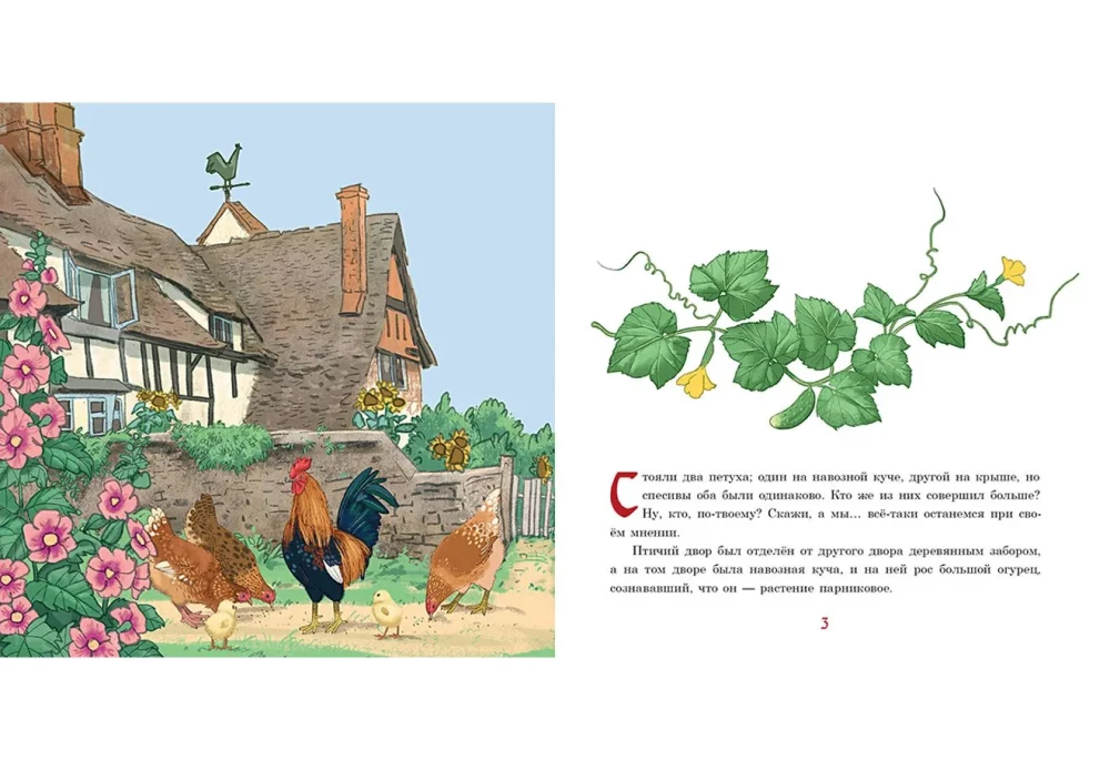 Kogut podwórzowy i wiatrowskaz