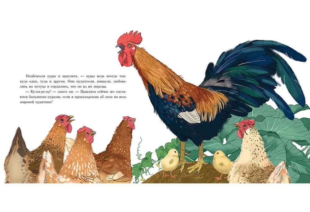 Kogut podwórzowy i wiatrowskaz