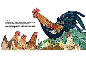 Kogut podwórzowy i wiatrowskaz